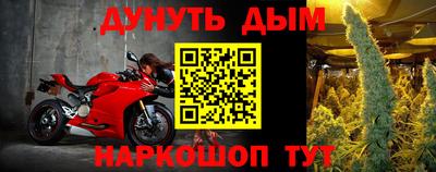 мдпв Бийск