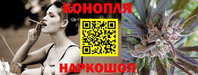 мдпв Бийск