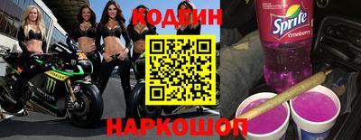 мдпв Бийск