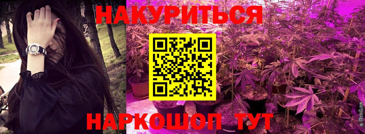 Бошки Шишки White Widow  Марихуана ГИДРОПОН  Грязи  Вход с VPN 